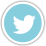 Twitter-256